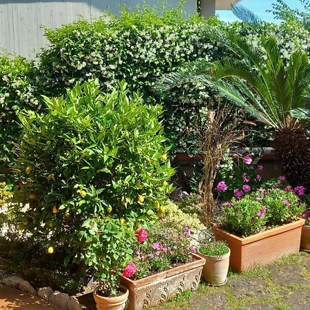 B&B Villa Noemi Formia Exterior foto