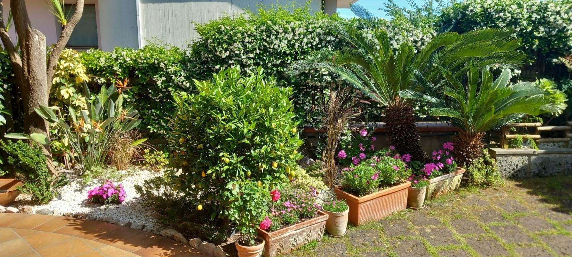 B&B Villa Noemi Formia Exterior foto